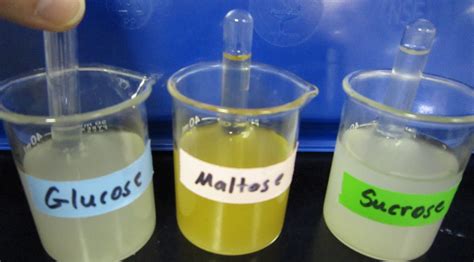 Science Stuff Blog: The Use of Glucose in Cellular Respiration (Lab) Biology Classroom, Biology ...