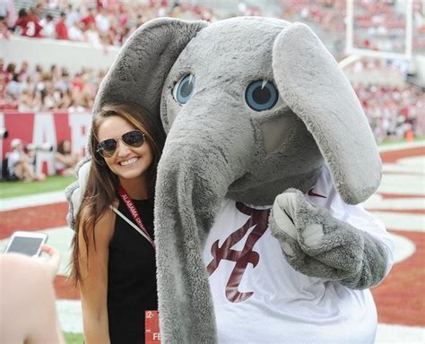 Big Al: The evolution of the Alabama mascot's look throughout the years ...