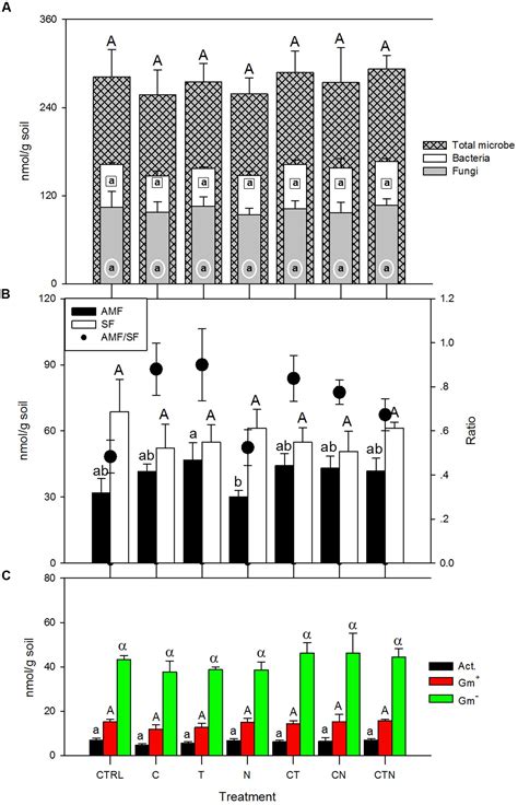 Frontiers | Microbial lipid and amino sugar responses to long-term ...