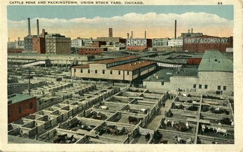 Stock Yards – Chicago History In Postcards