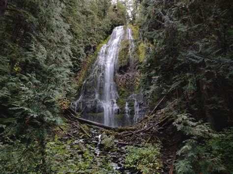 10 Best Hikes and Trails in Willamette National Forest | AllTrails