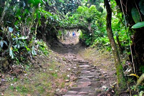 How to Trek & Succeed the Amazing Lost City Colombia | Magic Tour