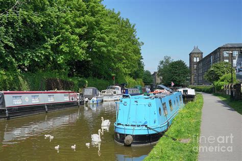 Skipton Canal Swans Photograph by Alison Chambers - Fine Art America