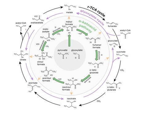 No Catalyst? No Problem. | News | Astrobiology