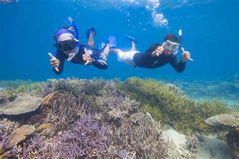 Snorkel Safari Day Trip Gaya Island - Downbelow Adventures Borneo