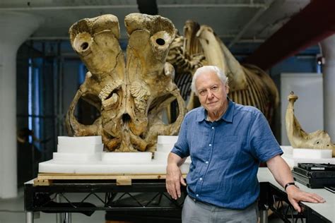 David Attenborough is releasing a new, more personal Netflix ...