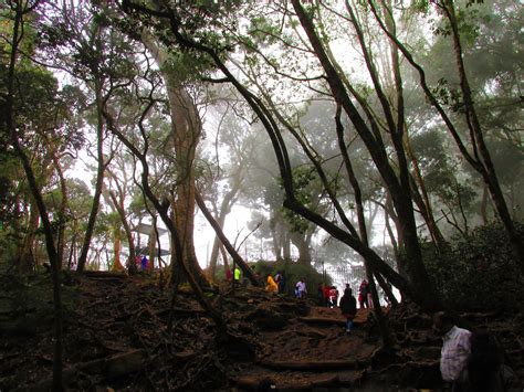 Guna Caves, Kodaikanal - 2020 (Photos & Reviews)