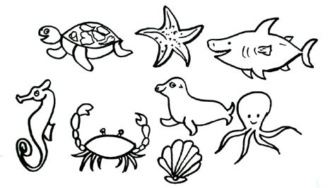 Sea Animals Drawing Easy Easy Step By Step Drawing Of Sea Animals For | Images and Photos finder