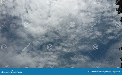 Under the Sky stock photo. Image of relax, blue, beautiful - 136664690