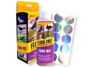 Best 10 Woodpecker Deterrents (*2023 UPDATED*): Expert Review