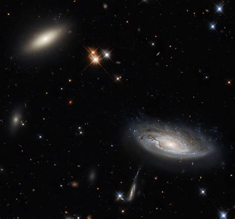 Hubble Spots Enormous Galaxies in Perseus Cluster | Sci.News