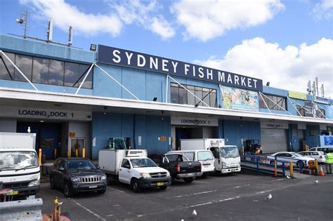 Sydney Fish Market - Tourist Hype