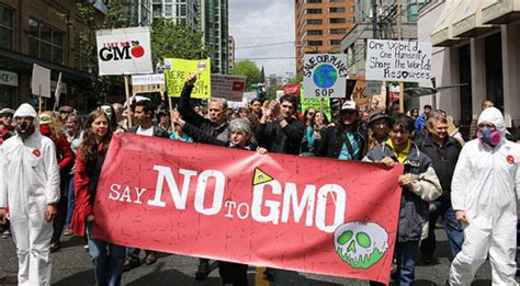 Monsanto abandons request for new GMO crops in the EU