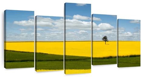 Canola Field Wall Art | Photography