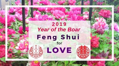 Love, Relationship, & Popularity Feng Shui setup for the 2019 Pig year | Year of the pig, Feng ...