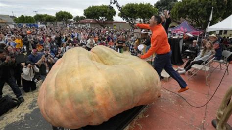 US Teacher Breaks Guinness World Record By Growing Pumpkin Weighing Over 1.2 Tonne | Viral News ...