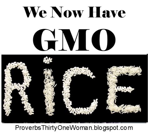 We Now Have GMO Rice - Proverbs 31 Homestead