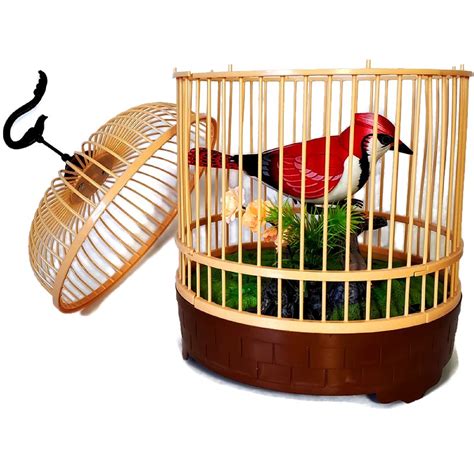 Beautiful Singing & Chirping Toy Bird in Cage for Home,Garden Decor & Gift #28849 | Buy Online ...