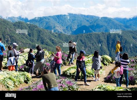 Northern bloom baguio hi-res stock photography and images - Alamy