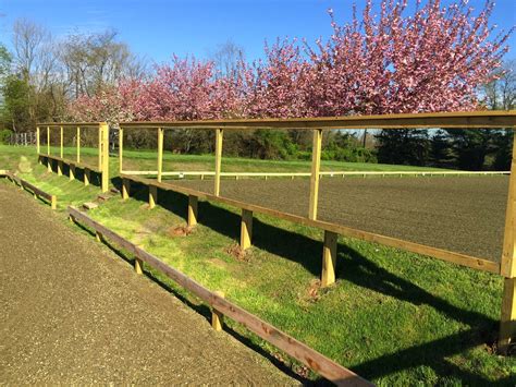 Building & Managing the Small Horse Farm: Mirrors for an Outdoor Riding Arena