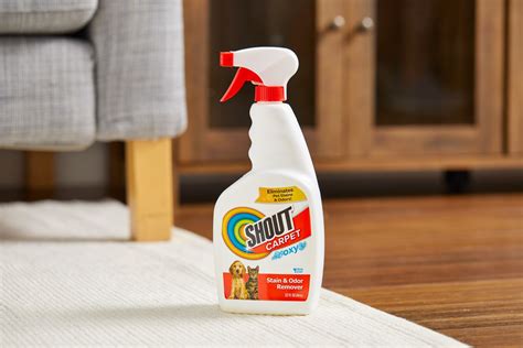 The 10 Best Carpet Spray Cleaners of 2023, According to Tests