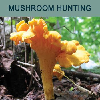 mushroom-hunting – Point Arena Merchants Association