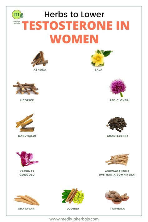 High Testosterone in Women: Ayurvedic Treatment for Hyperandrogenism