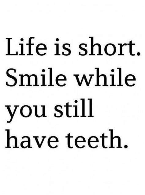 Funny Stupid Quotes About Life - ShortQuotes.cc