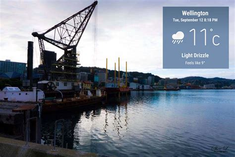 Wellington: Waterfront – Violetology