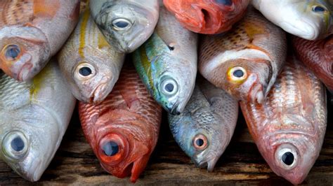 7 Types Of Seafood You Should Be Eating And 7 You Shouldn't