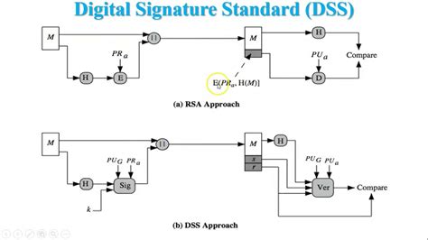 Digital Signature Algorithm (DSA) in Network Security - YouTube