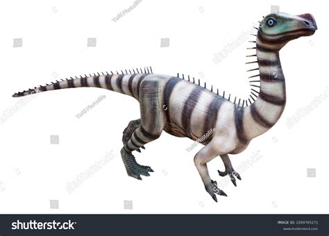 1 Unaysaurus Images, Stock Photos & Vectors | Shutterstock