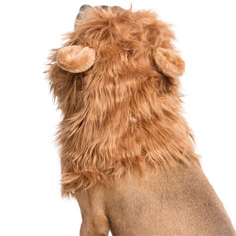 Lion Mane Dog Costume for Medium & Big Dogs. – Pet Krewe