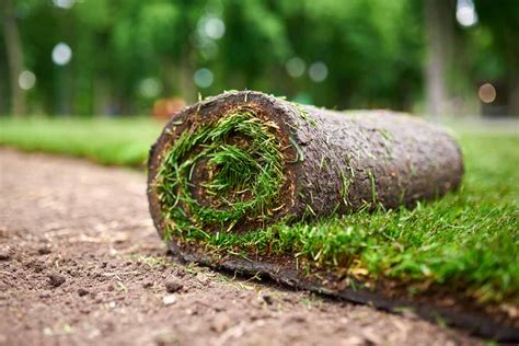 How to Harvest Your Own Sod to Repair Lawn Areas ~ GreenView