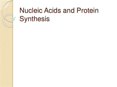 Nucleic acids and protein synthesis