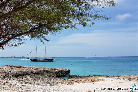 12 Best Aruba Snorkeling Tours That We Recommend