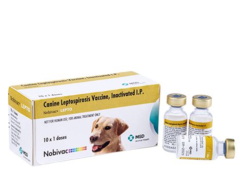 Nobivac® Lepto - MSD Animal Health India