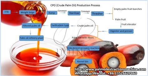 Process flow diagram of palm oil mill plant_Palm Oil Extraction FAQ