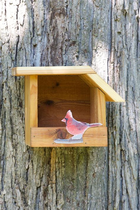 Northern Cardinal Cedar bird house | Etsy