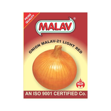 MALAV ONION AGRI FOUND LIGHT RED (500 GM) - LeafConAgro