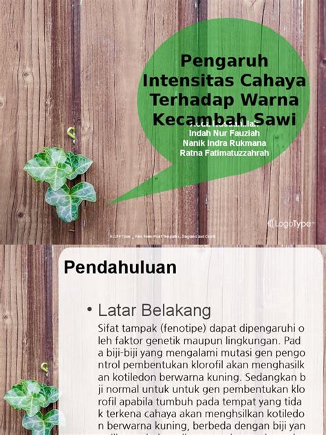 Pengaruh Intensitas Cahaya Terhadap Kecambah Sawi | PDF