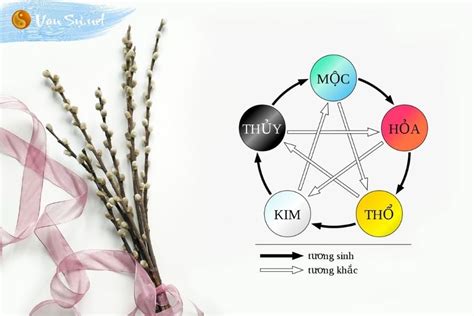 Thổ Sinh Kim là gì? Tìm hiểu về ngũ hành Thổ sinh Kim