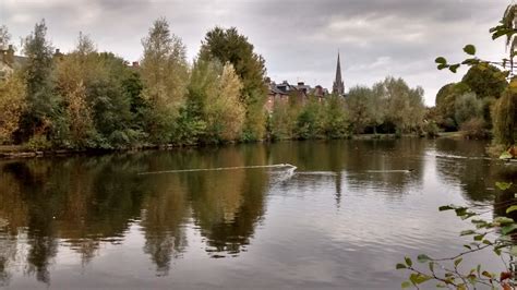 Dorking Mill Pond In Pictures | Allaboutangling.net