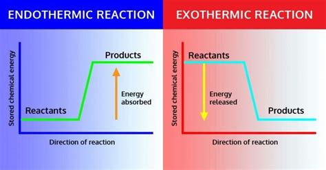 Endothermic Vs Exothermic Reaction Worksheet