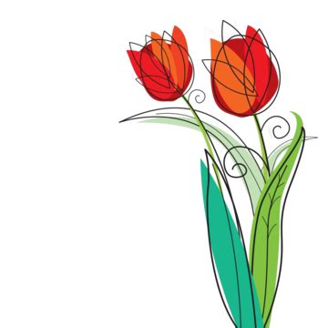 White Tulip Detail Plant Flourish Photo Background And Picture For Free ...