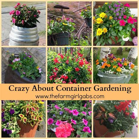 Crazy About Container Gardening-www.thefarmgirlgabs.com