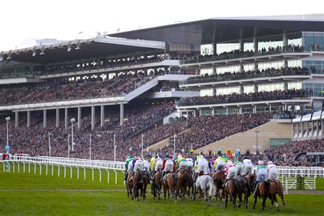 Cheltenham Races: Best betting tips for the live ITV racing at Cheltenham today