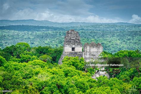 Tikal Temple Iv Inside Rainforest Maya Pyramid Guatemala High-Res Stock ...