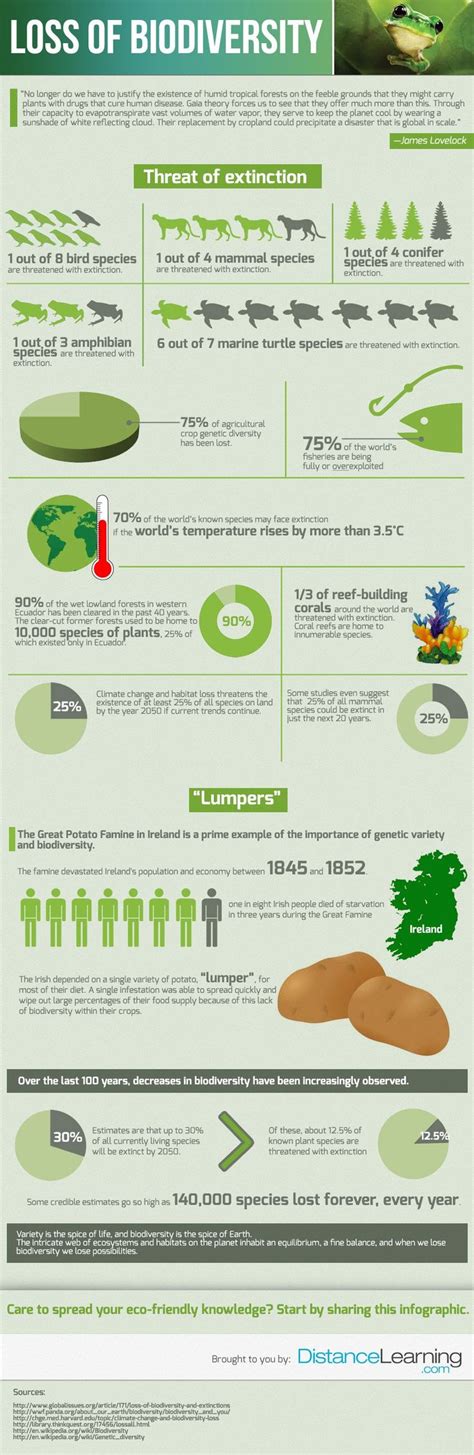 Top 10 Biodiversity Conservation Infographics | Biodiversity ...