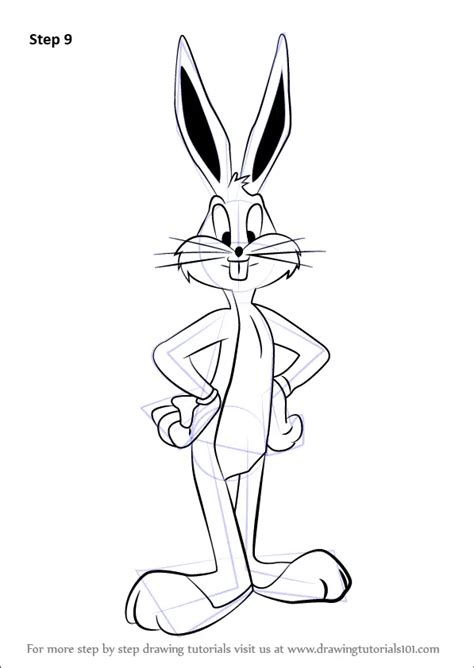 Learn How to Draw Bugs Bunny from Looney Tunes (Looney Tunes) Step by ...